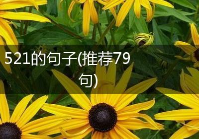 521的句子(推荐79句)