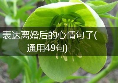 表达离婚后的心情句子(通用49句)