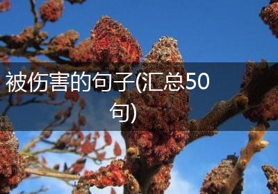 被伤害的句子(汇总50句)