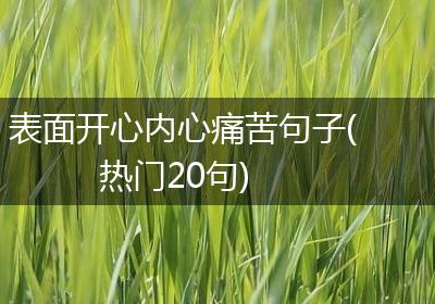 表面开心内心痛苦句子(热门20句)