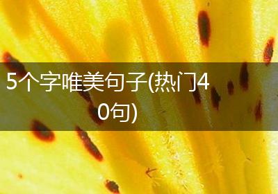5个字唯美句子(热门40句)