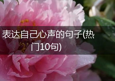 表达自己心声的句子(热门10句)