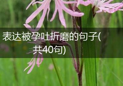 表达被孕吐折磨的句子(共40句)