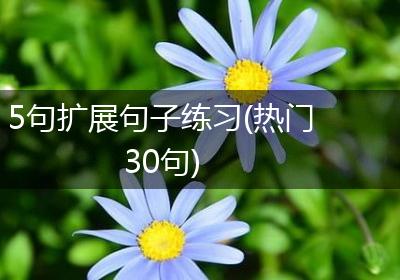5句扩展句子练习(热门30句)