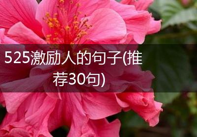 525激励人的句子(推荐30句)
