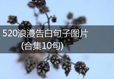 520浪漫告白句子图片(合集10句)