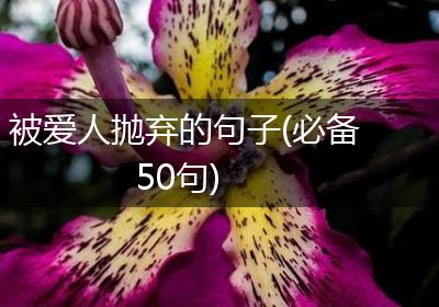 被爱人抛弃的句子(必备50句)