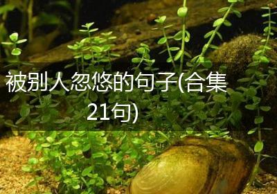被别人忽悠的句子(合集21句)