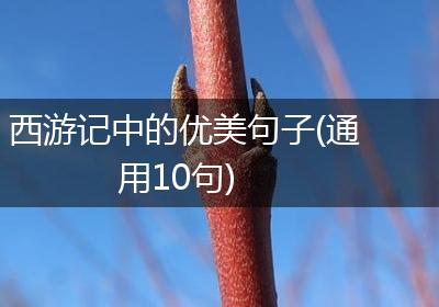 西游记中的优美句子(通用10句)