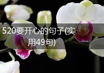 520要开心的句子(实用49句)