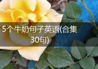 5个牛奶句子英语(合集30句)