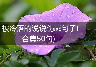 被冷落的说说伤感句子(合集50句)