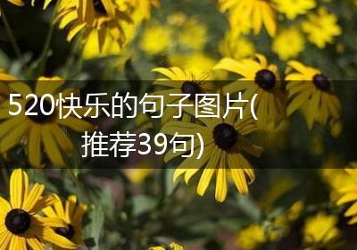 520快乐的句子图片(推荐39句)