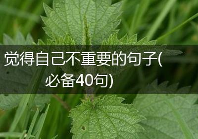 觉得自己不重要的句子(必备40句)