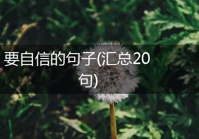 要自信的句子(汇总20句)