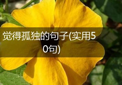 觉得孤独的句子(实用50句)