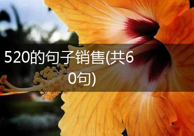 520的句子销售(共60句)