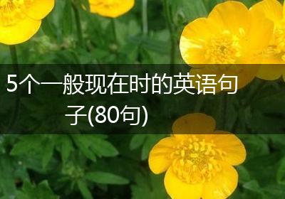5个一般现在时的英语句子(80句)