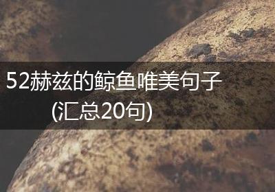 52赫兹的鲸鱼唯美句子(汇总20句)