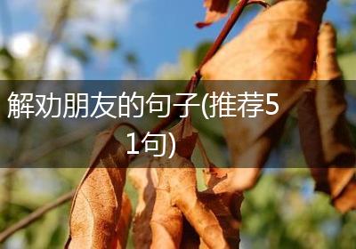 解劝朋友的句子(推荐51句)