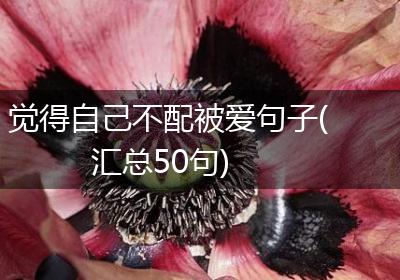 觉得自己不配被爱句子(汇总50句)