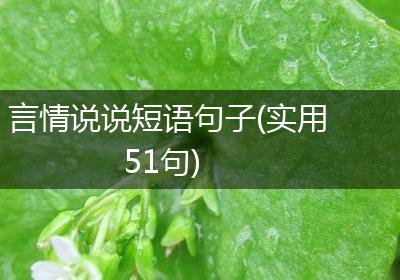 言情说说短语句子(实用51句)
