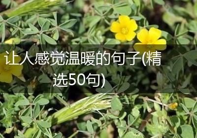 让人感觉温暖的句子(精选50句)