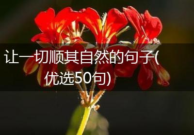 让一切顺其自然的句子(优选50句)