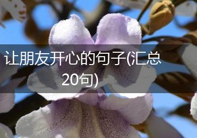 让朋友开心的句子(汇总20句)