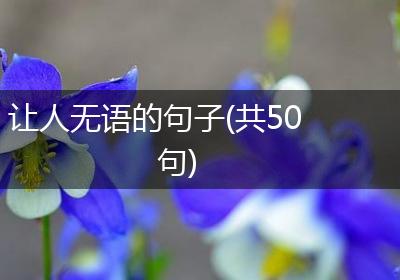 让人无语的句子(共50句)