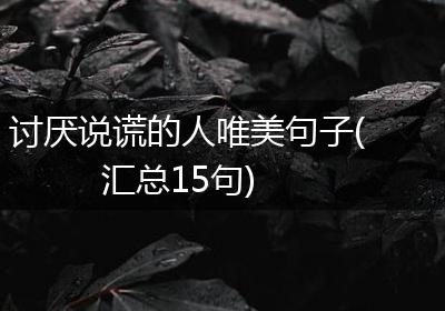 讨厌说谎的人唯美句子(汇总15句)
