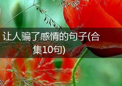 让人骗了感情的句子(合集10句)
