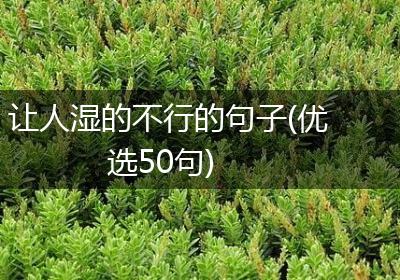 让人湿的不行的句子(优选50句)