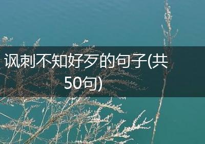 讽刺不知好歹的句子(共50句)