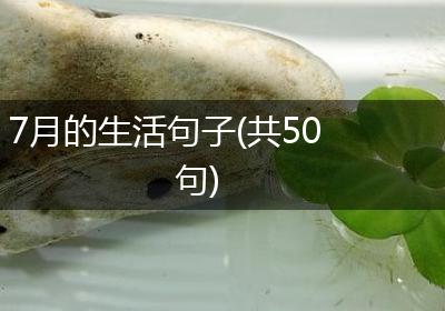 7月的生活句子(共50句)