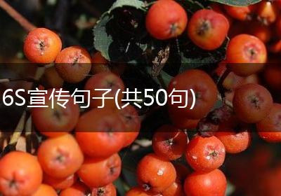 6S宣传句子(共50句)