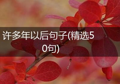 许多年以后句子(精选50句)