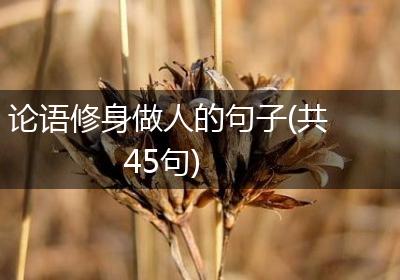 论语修身做人的句子(共45句)