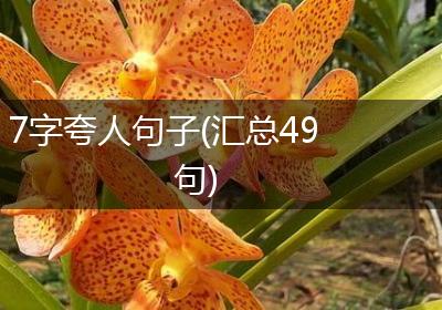 7字夸人句子(汇总49句)