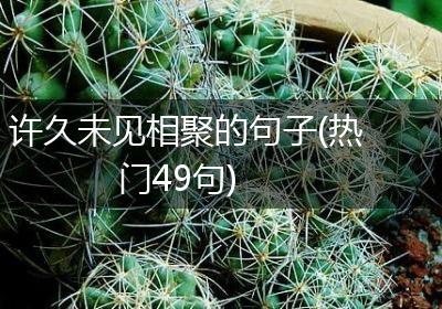 许久未见相聚的句子(热门49句)