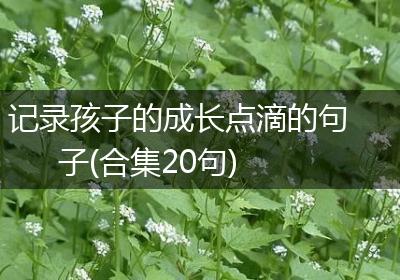 记录孩子的成长点滴的句子(合集20句)