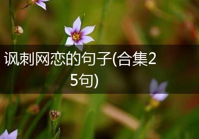 讽刺网恋的句子(合集25句)
