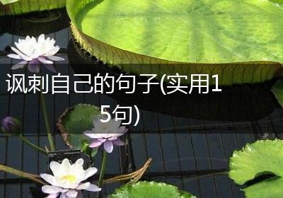 讽刺自己的句子(实用15句)