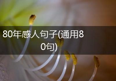 80年感人句子(通用80句)
