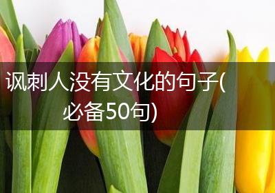 讽刺人没有文化的句子(必备50句)