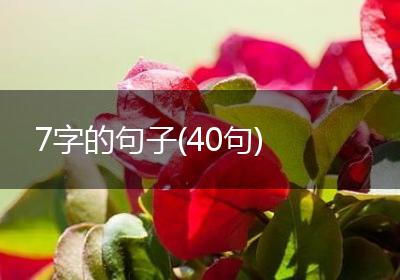 7字的句子(40句)