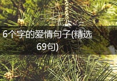 6个字的爱情句子(精选69句)