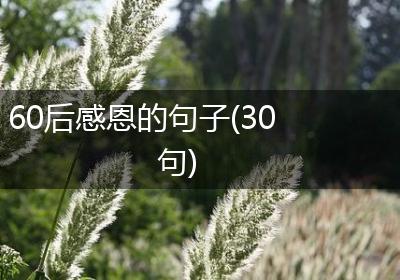 60后感恩的句子(30句)