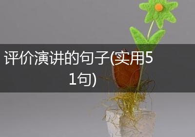 评价演讲的句子(实用51句)