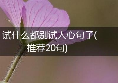 试什么都别试人心句子(推荐20句)